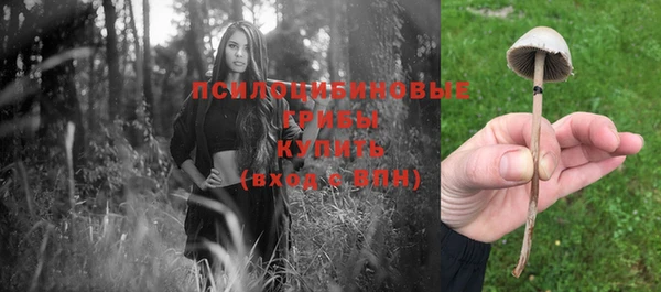 винт Арсеньев